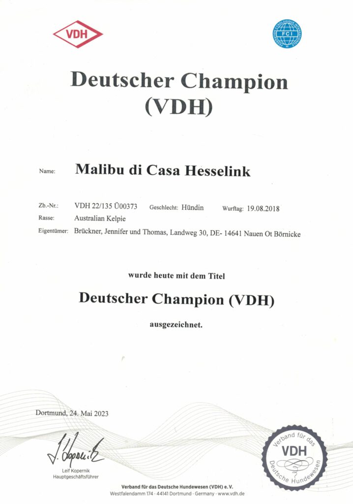 VDH Championtitel