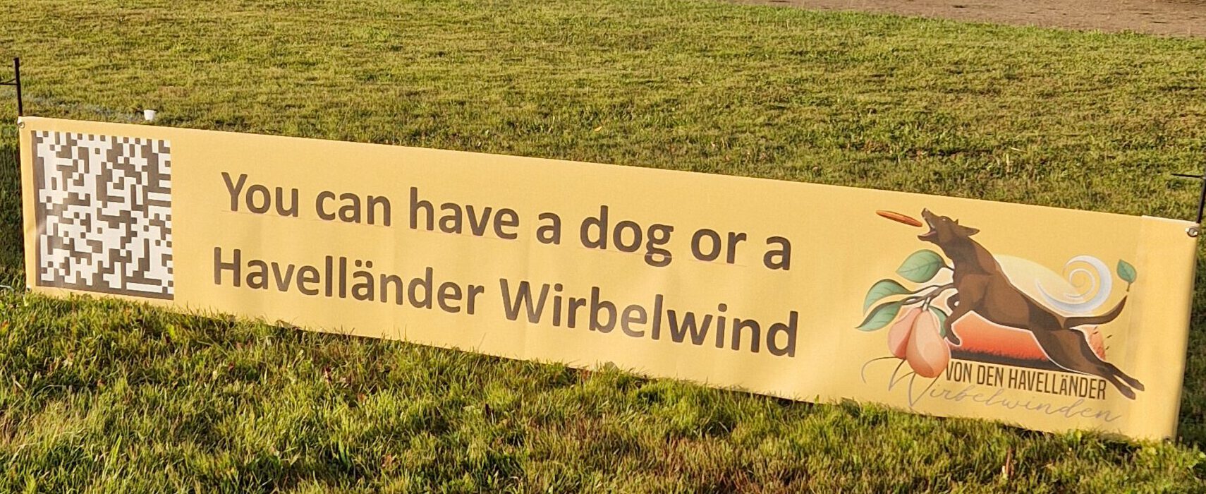 Malibu live im MDR Fernsehen.